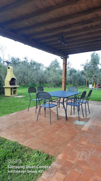 David Bilocale Wi-Fi, Posto Auto, Giardino, Aria Condizionata Διαμέρισμα Donoratico Εξωτερικό φωτογραφία